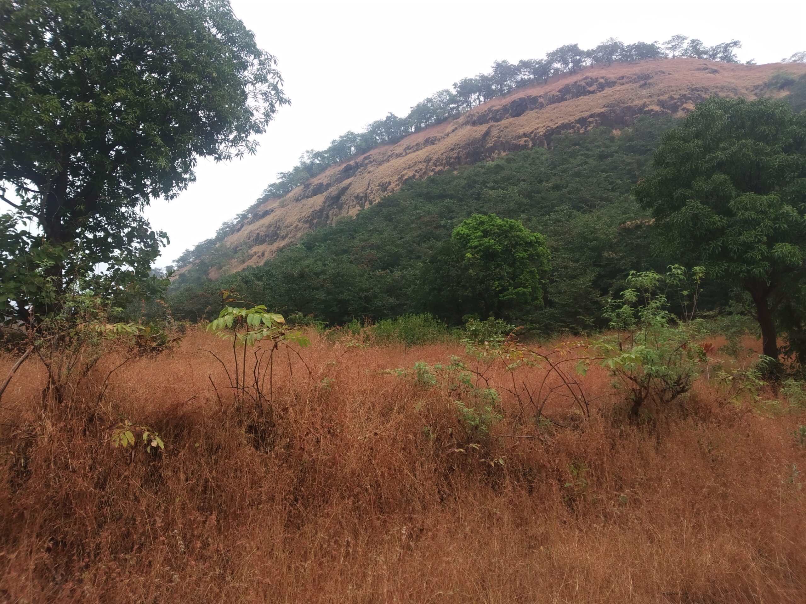 mountain in konkan